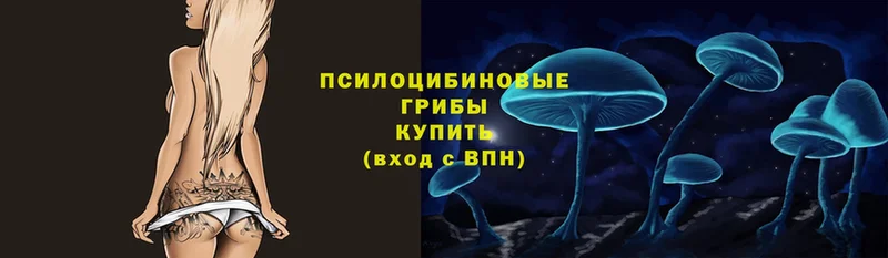 Псилоцибиновые грибы Magic Shrooms  купить   Орёл 